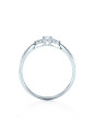 Diamond Ring with Side Stones